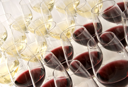 Read more about the article Tasting made easy: understanding tannins