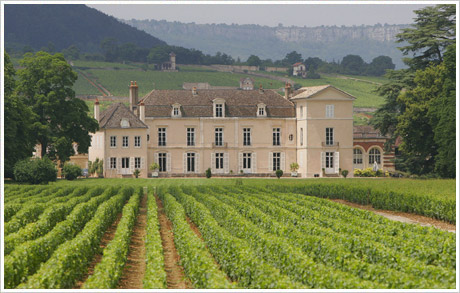 Read more about the article Meursault and Marsannay return to the forefront