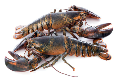 Read more about the article Grilled lobster with salted butter by Chef Olivier Roellinger