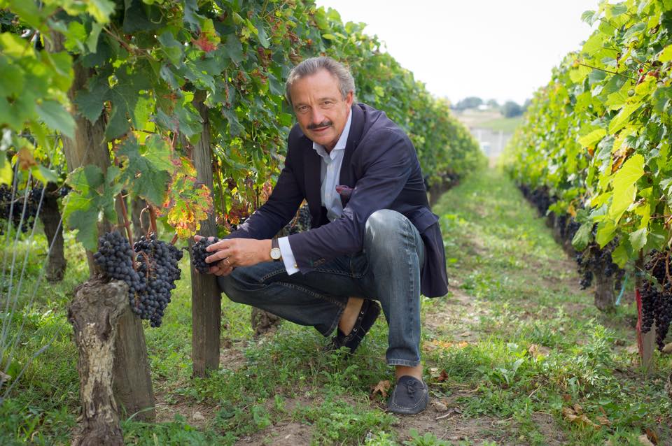 Read more about the article Stephan von Neipperg invests in South Africa