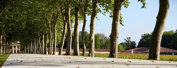 Read more about the article Vinexpo: Château Margaux unveils new cellar