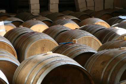 oak barrels in a winery