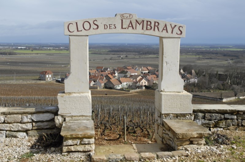 Read more about the article How much does a hectare of vineyard cost?