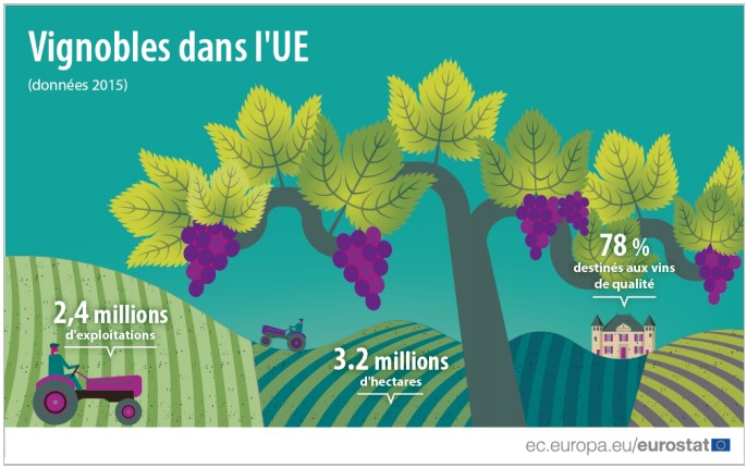 Read more about the article Major Winegrowing Regions in Europe: France on the Podium