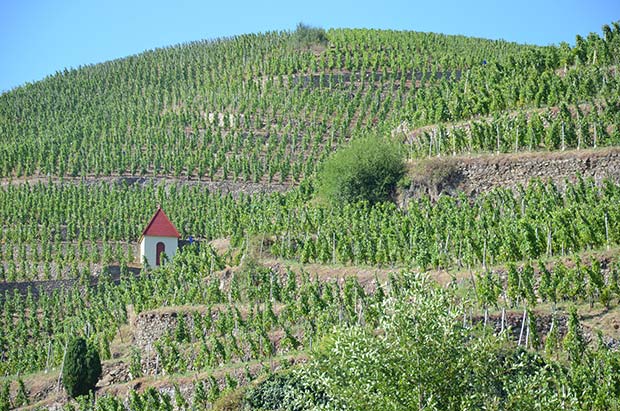 Read more about the article Jayer, Mouton, Côte-Rôtie and Sancerre at the top | Auction report