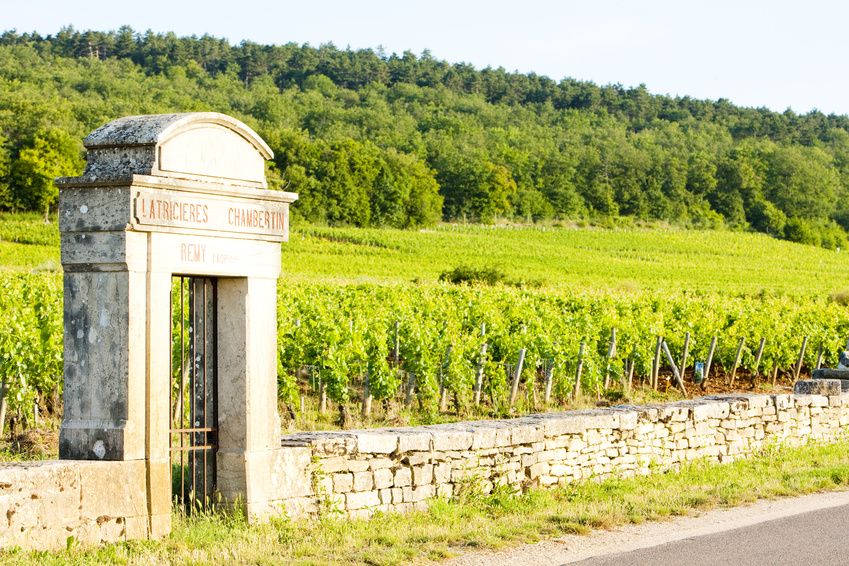 Read more about the article French vineyard market: rising prices in 2016