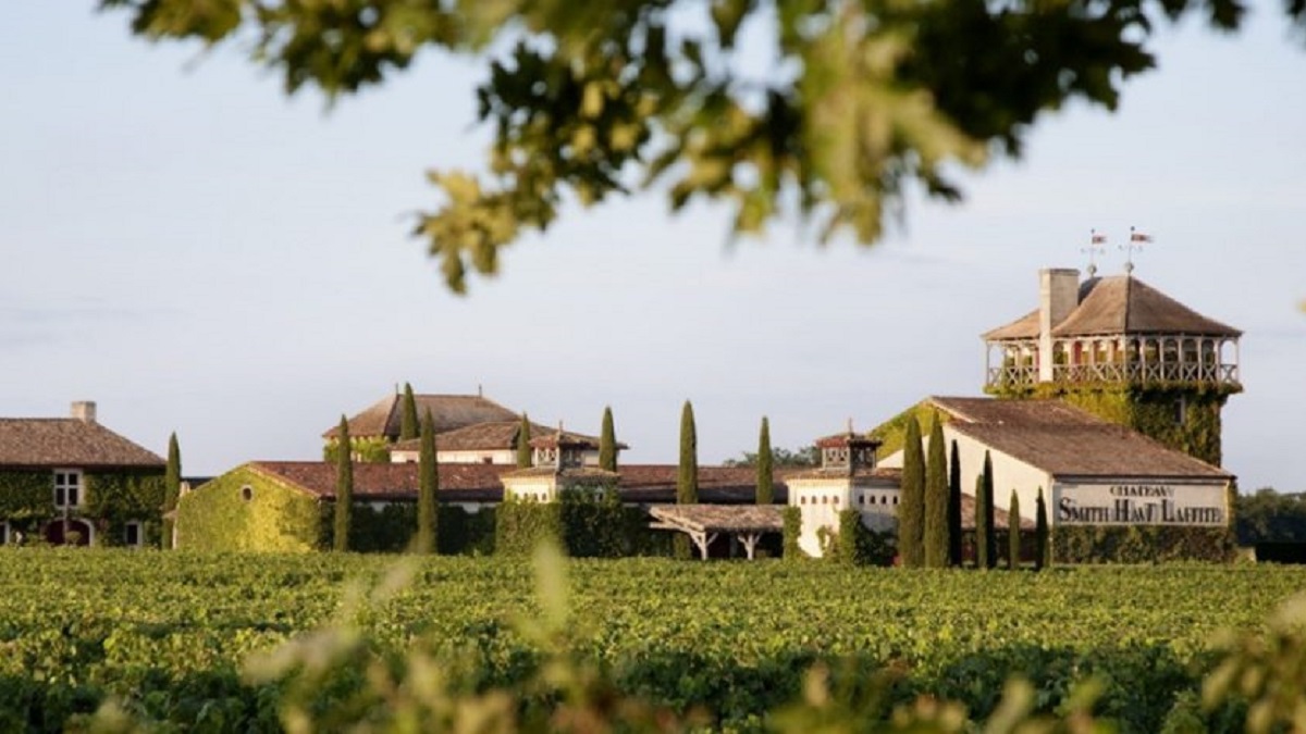 Read more about the article Château Smith Haut Lafitte: Pessac-Léognan success story