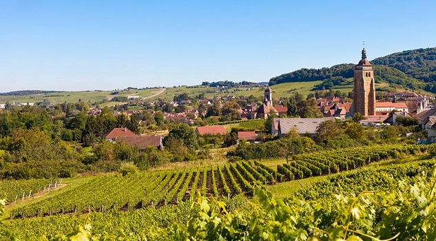 Top 20 of Jura-Savoie and Alsace wines