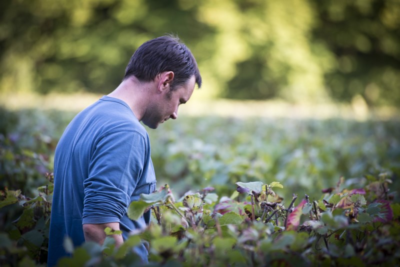 Read more about the article Champagne Bourgeois-Diaz: head in the stars