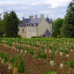 Château de Villeneuve, an historical domain in Saumur