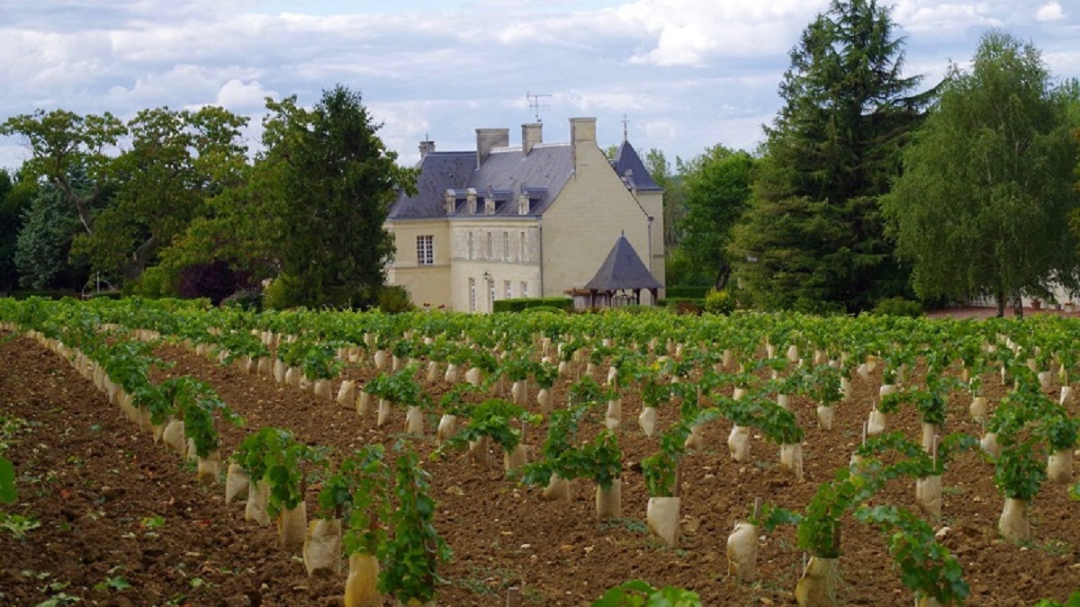 Read more about the article Château de Villeneuve, an historical domain in Saumur