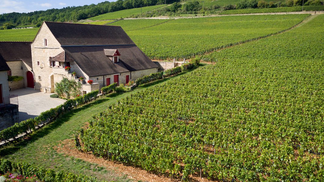 Read more about the article Clos de Tart | New owner: good or bad news?