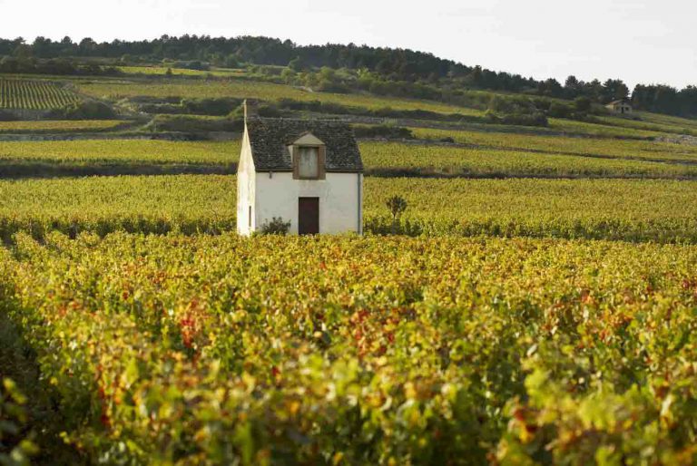 Read more about the article Burgundy Grands Crus: prices keep on soaring | Auction report