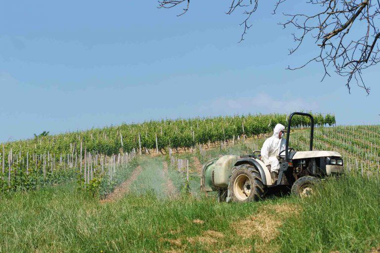 Bordeaux wines now contain three times fewer pesticides than less than 4 years ago