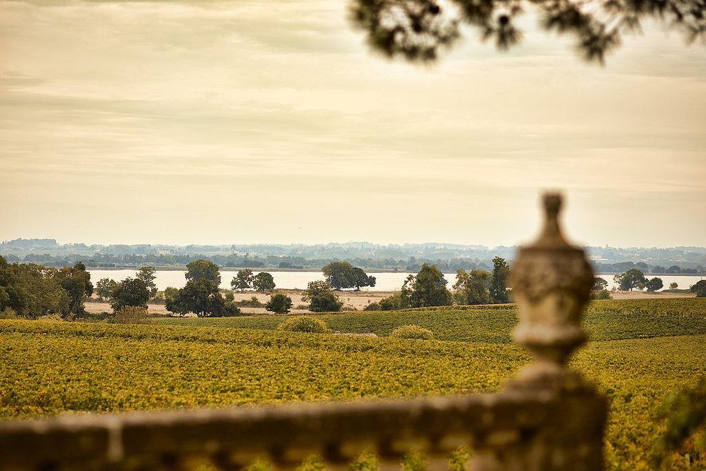 Château Pichon Longueville Comtesse de Lalande: a first-class second cru