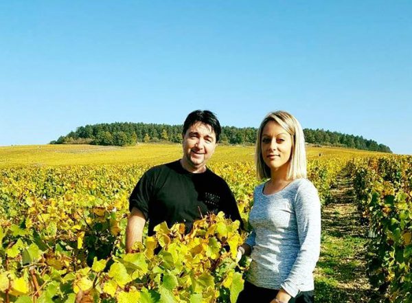 Read more about the article Domaine Pinson in Chablis rooted in Kimmeridgian terroir