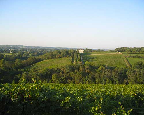 Read more about the article Clos de la Coulée de Serrant: “a fine terroir needs no artifice”