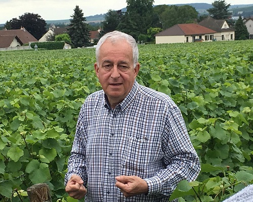 Read more about the article A tour of Champagne house Jacquesson