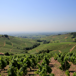 Domain Dominique Piron: the fantastic terroirs of the Beaujolais