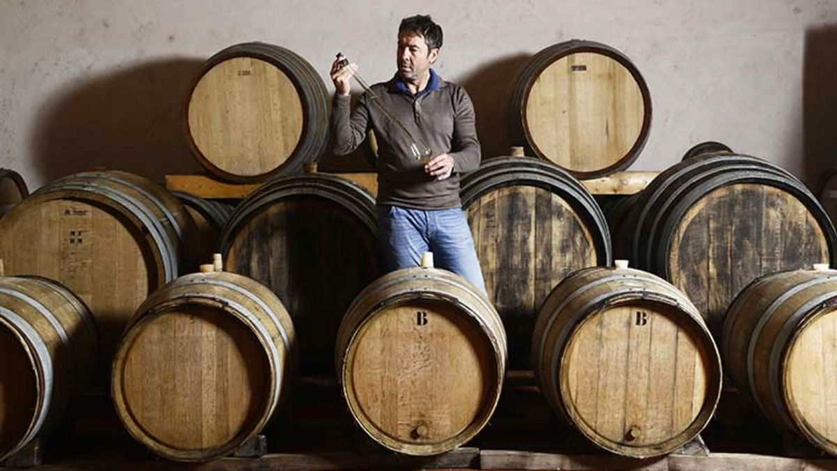 Read more about the article Champagne Agrapart & Fils: The many facets of Chardonnay