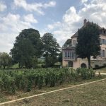 Hidden treasures: Maison Louis Latour’s old vintages