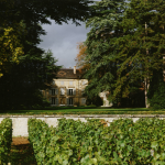 Domain Rebourseau: the Bouygues family gets a foothold in Burgundy