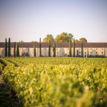 Château Clarke: the freshness and terroir of the Right Bank…in the Médoc