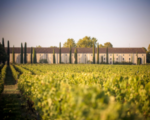 Read more about the article Château Clarke: the freshness and terroir of the Right Bank…in the Médoc