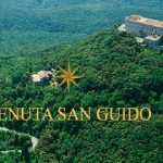 Sassicaia, Tenuta San Guido’s iconic wine