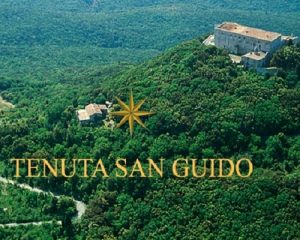 Read more about the article Sassicaia, Tenuta San Guido’s iconic wine