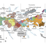 Loire wines: Which bottle to choose with your meal?