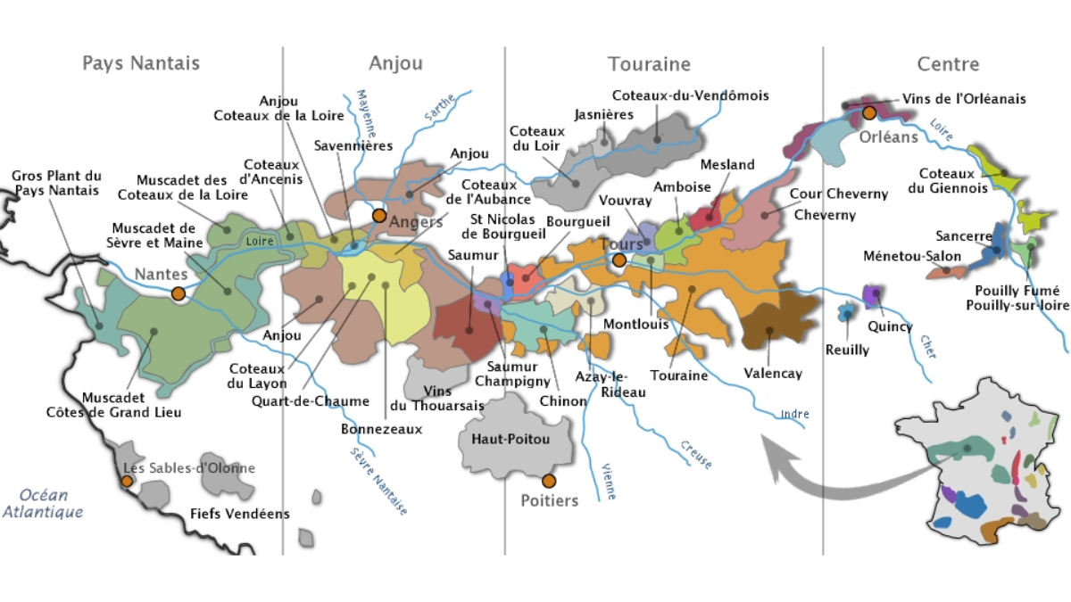 Read more about the article Loire wines: Which bottle to choose with your meal?