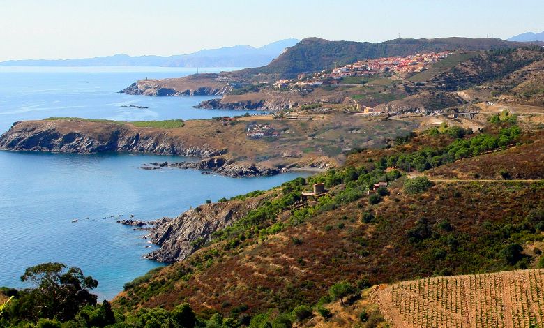 Vignes Collioure