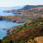 Languedoc-Roussillon: new additions and must-try wines