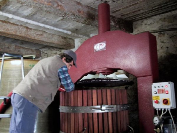 Hervé Bizeul with his press at Clos de Fées