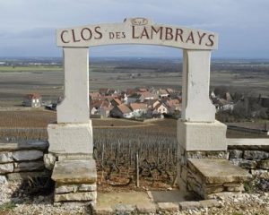 Read more about the article Jacques Devauges named director of Clos des Lambrays