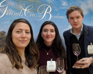 Read more about the article Bordeaux 2016 | iDealwine’s top picks from the UGCB tasting