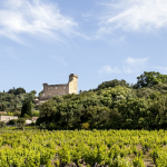 Domaine du Vieux Donjon, rare Châteauneuf