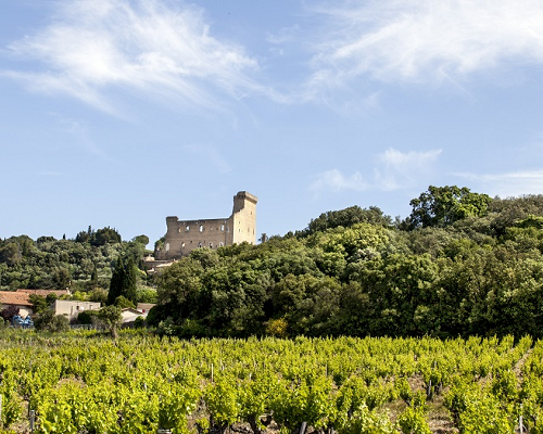 Read more about the article Domaine du Vieux Donjon, rare Châteauneuf