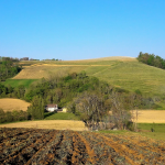 Domain Castera | Memorable wines from the heart of the Jurançon