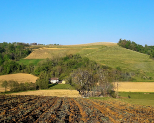 Read more about the article Domain Castera | Memorable wines from the heart of the Jurançon