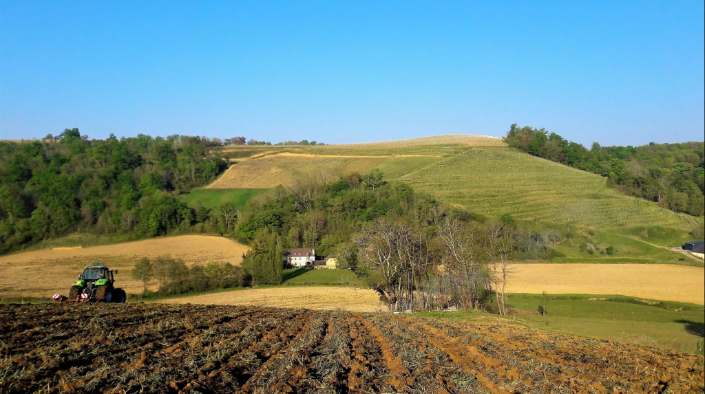 domaine Castera