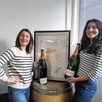The iDealwine team’s favourite champagnes