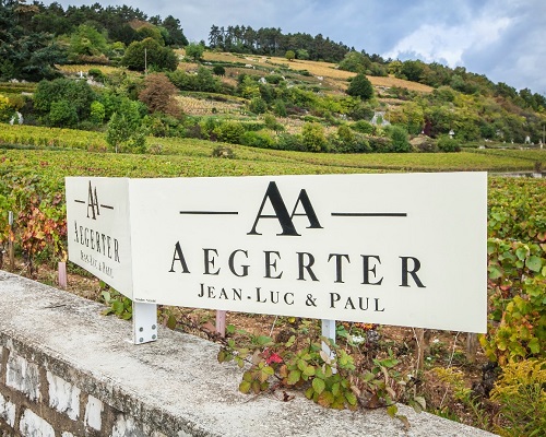 Read more about the article Aegerter | Accessibility and innovation in Burgundy