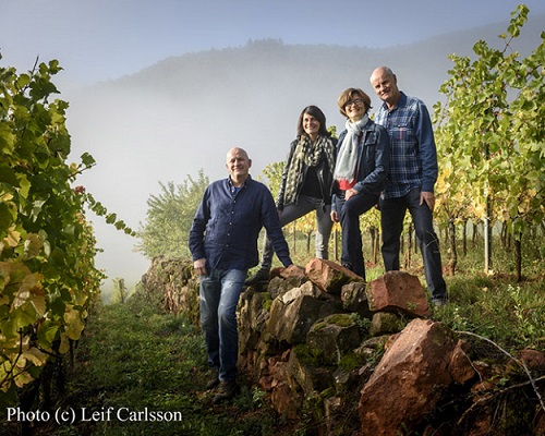 Read more about the article Albert Mann, biodynamics in Alsace