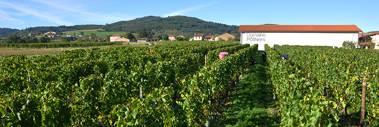 Guide-vins-loire-Cote-Roannaise auvergne