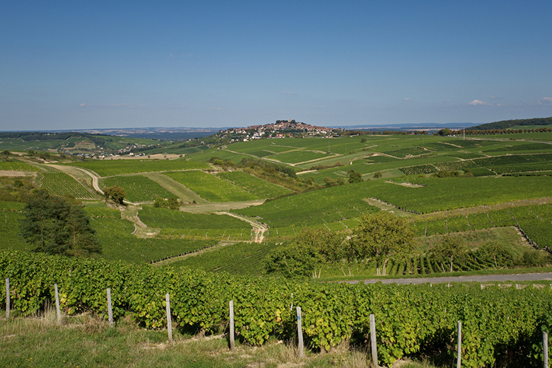 vignoble Sancerrois loire wine