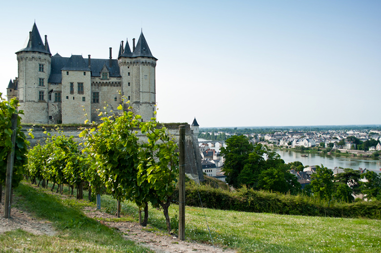 Loire wine guide appellations