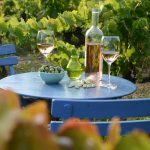 iDealwine’s rosé selection: food-friendly wines for summer sipping