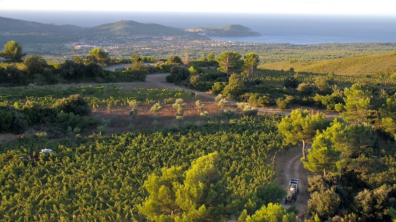 2-Domaine de la Bégude iDealwine Vins de Provence